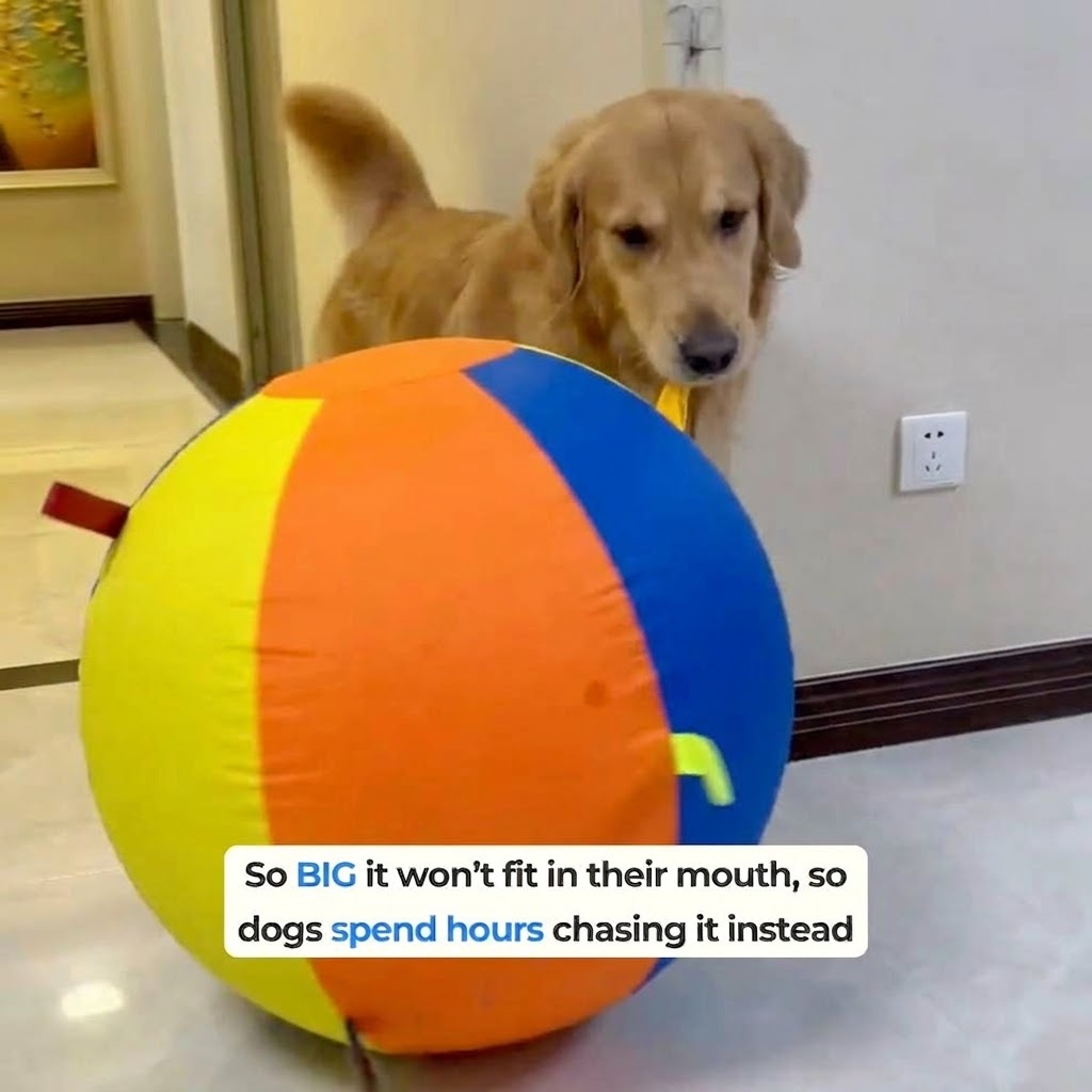 Jumbo Herding Ball for Dogs — Active Play
