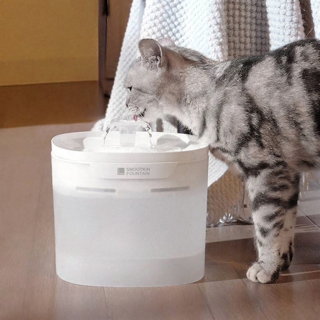 Pumpless Cat Water Fountain — Ultra-Quiet, 4L