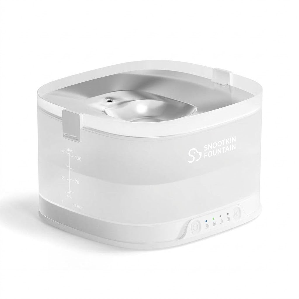 Pumpless Cat Water Fountain — Ultra-Quiet, 4L