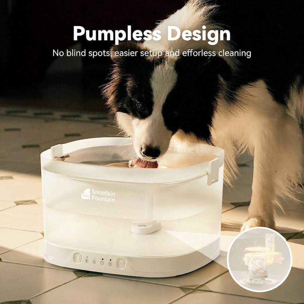 Pumpless Cat Water Fountain — Ultra-Quiet, 4L