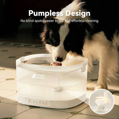 Pumpless Cat Water Fountain — Ultra-Quiet, 4L