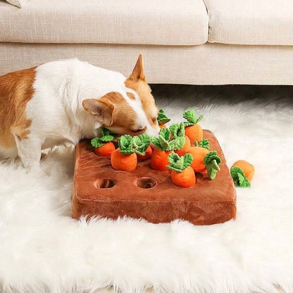Carrot Snuffle Mat for Dogs — Enrichment Toy