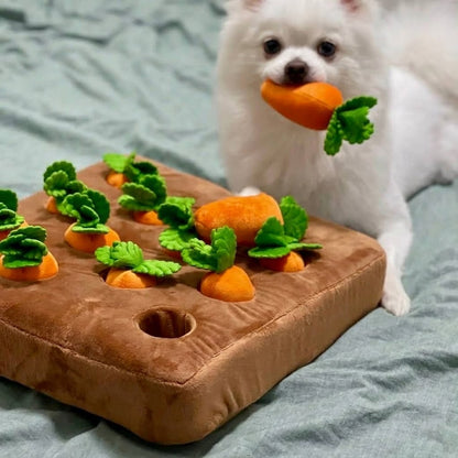 Carrot Snuffle Mat for Dogs — Enrichment Toy
