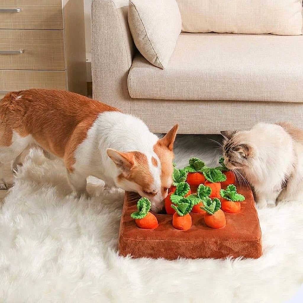 Carrot Snuffle Mat for Dogs — Enrichment Toy