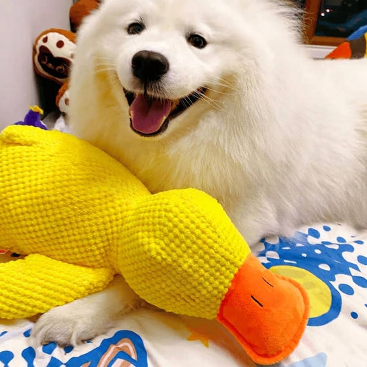 Calming Duck Dog Toy — Soothes Anxiety