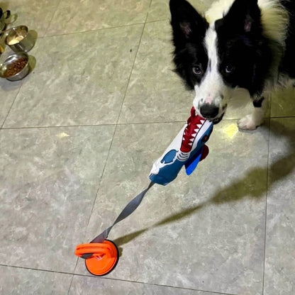 Suction Cup Dog Tug Toy — Interactive Play
