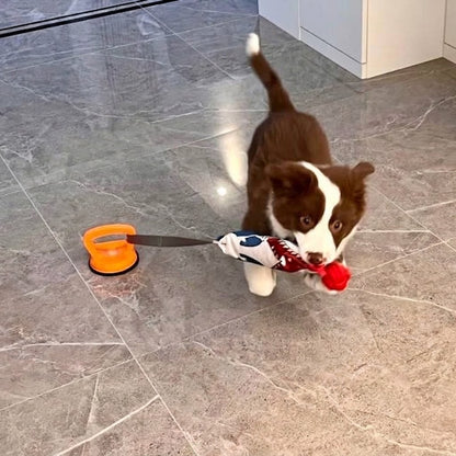 Suction Cup Dog Tug Toy — Interactive Play