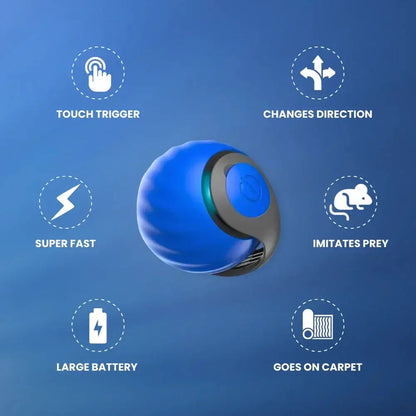 Interactive Electric Rolling Cat Toy Ball with Teaser Tail - Blue & Orange