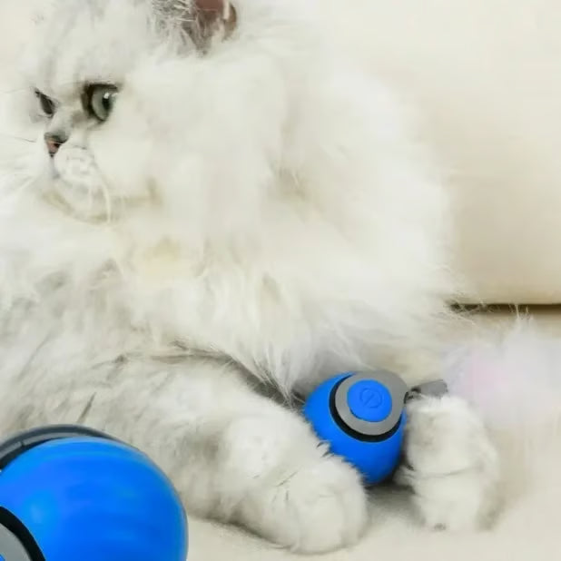 Interactive Electric Rolling Cat Toy Ball with Teaser Tail - Blue & Orange