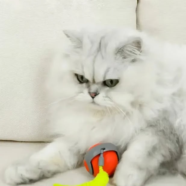 Interactive Electric Rolling Cat Toy Ball with Teaser Tail - Blue & Orange