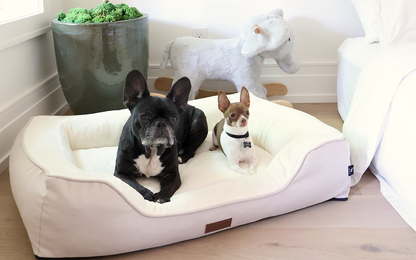 Premium Orthopedic Bolstered Dog Bed – Ultra-Comfort Support