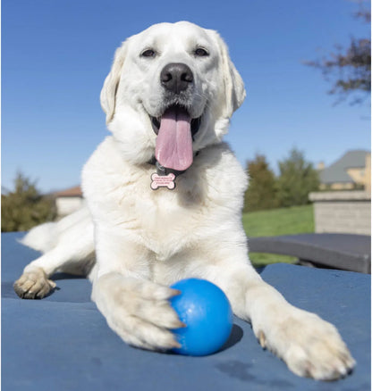 RAHRDOG Ball