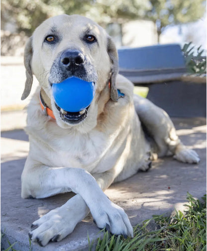 RAHRDOG Ball