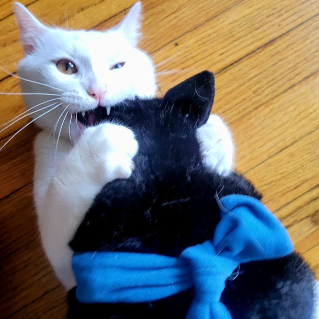 Snootkin Wearable Cat Wrestling Toy & Scratch Protection Sleeve