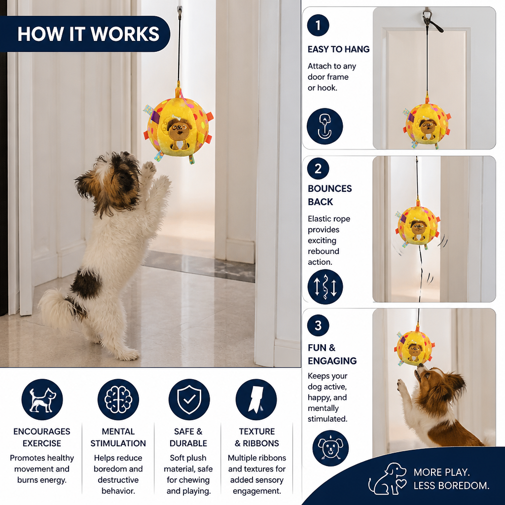 Interactive Hanging Dog Ball Toy with Elastic Play Rope & Hook