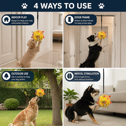 Interactive Hanging Dog Ball Toy with Elastic Play Rope & Hook