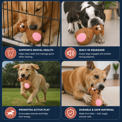 Durable Eco-Friendly Latex Squeaky Dental Dog Toy