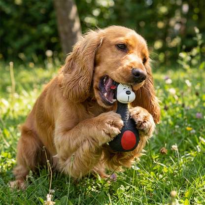 Durable Eco-Friendly Latex Squeaky Dental Dog Toy