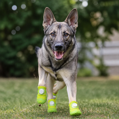 Protective Dog Shoes with Adjustable Straps for Comfortable Outdoor Walks