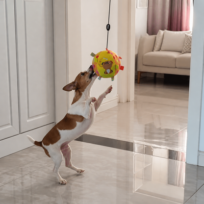 Interactive Hanging Dog Ball Toy with Elastic Play Rope & Hook