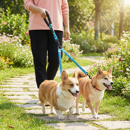 Easy Anti-Tangle Double Dog Leash