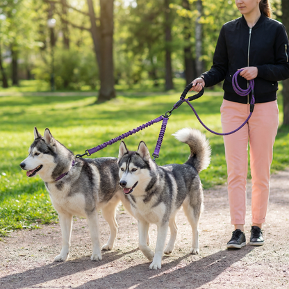 Easy Anti-Tangle Double Dog Leash