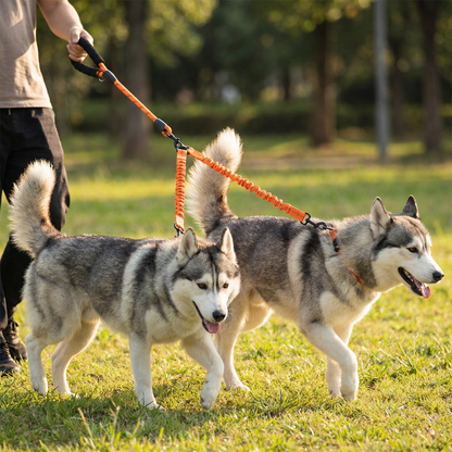 Easy Anti-Tangle Double Dog Leash