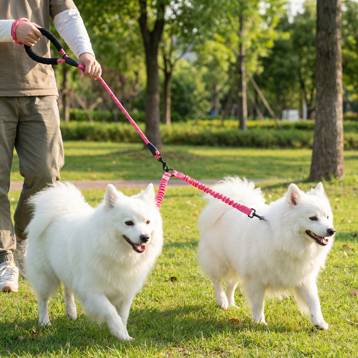 Easy Anti-Tangle Double Dog Leash