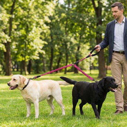 Easy Anti-Tangle Double Dog Leash