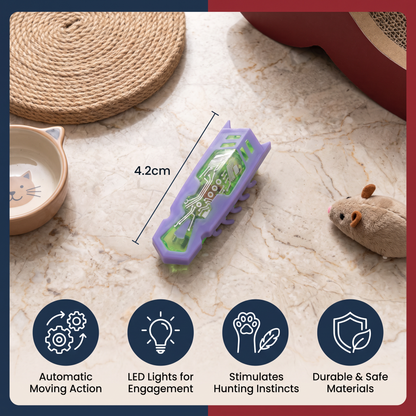 Interactive Electric Beetle Cat Toy with LED Lights and Automatic Moving Action