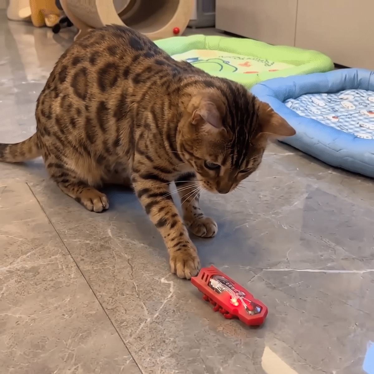 Interactive Electric Beetle Cat Toy with LED Lights and Automatic Moving Action