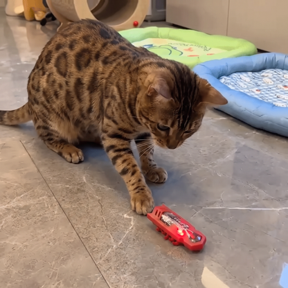 Interactive Electric Beetle Cat Toy with LED Lights and Automatic Moving Action