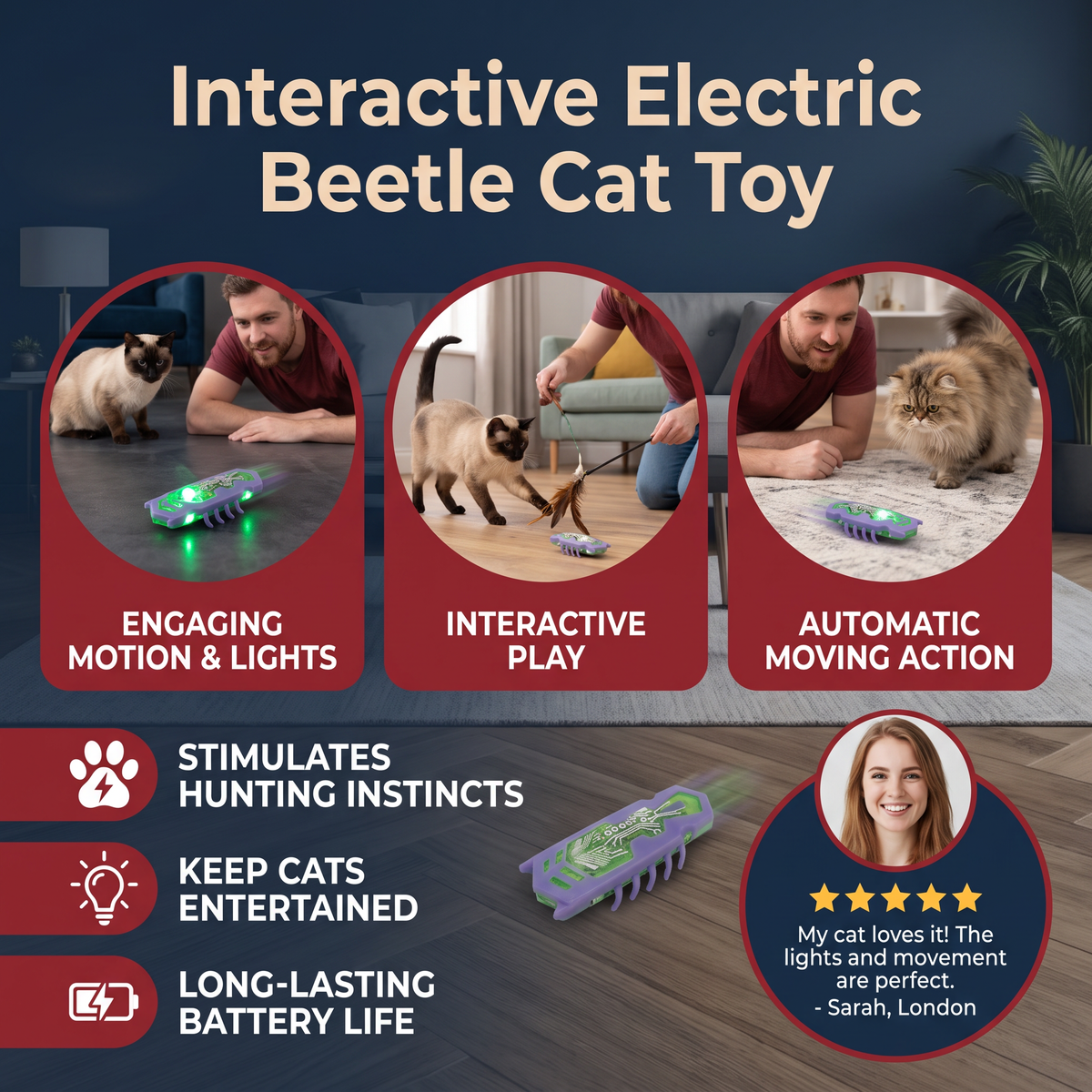 Interactive Electric Beetle Cat Toy with LED Lights and Automatic Moving Action