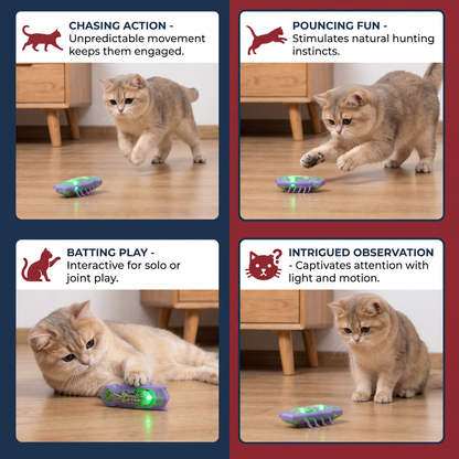 Interactive Electric Beetle Cat Toy with LED Lights and Automatic Moving Action