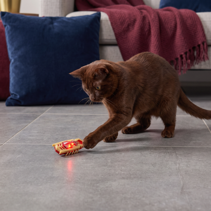 Interactive Electric Beetle Cat Toy with LED Lights and Automatic Moving Action