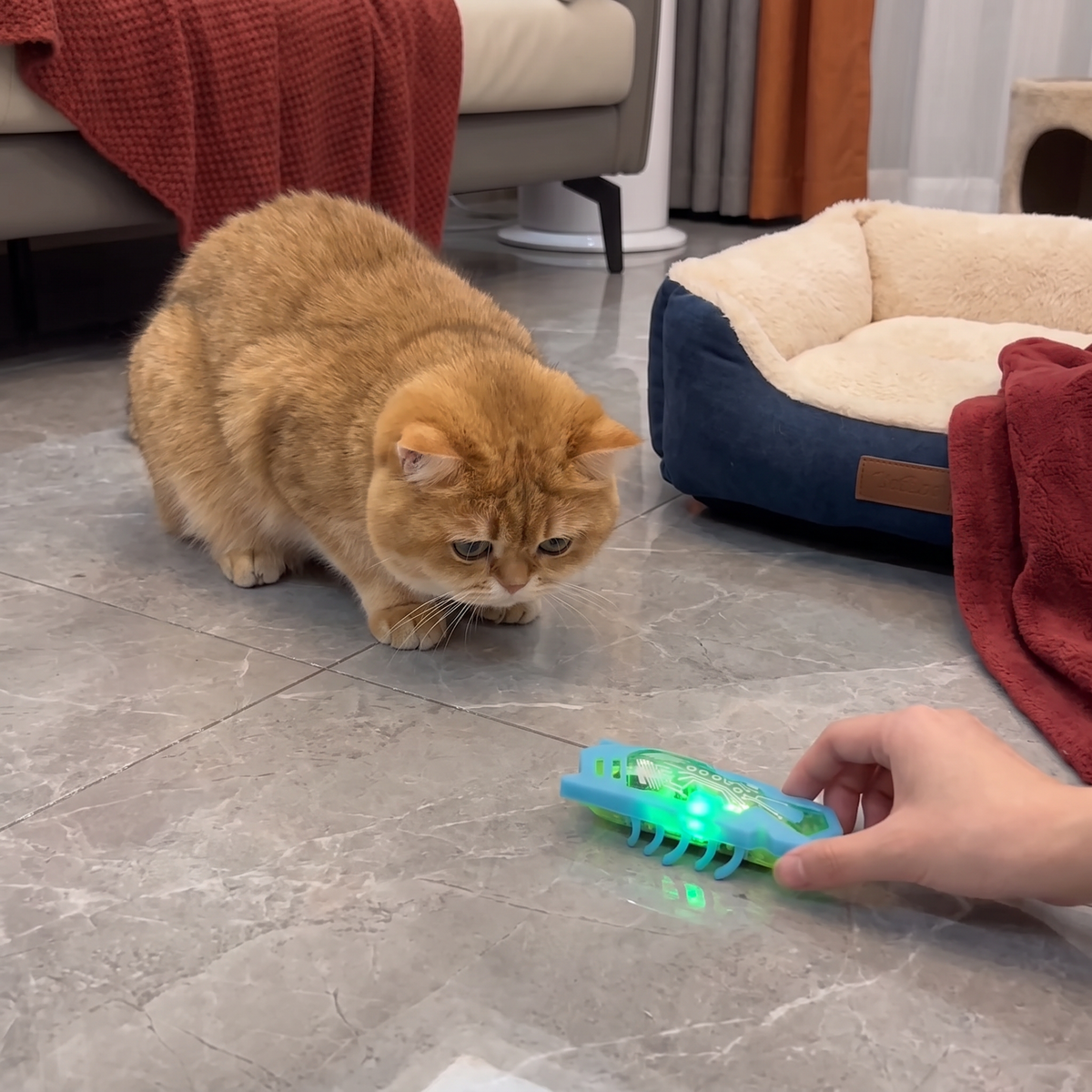 Interactive Electric Beetle Cat Toy with LED Lights and Automatic Moving Action