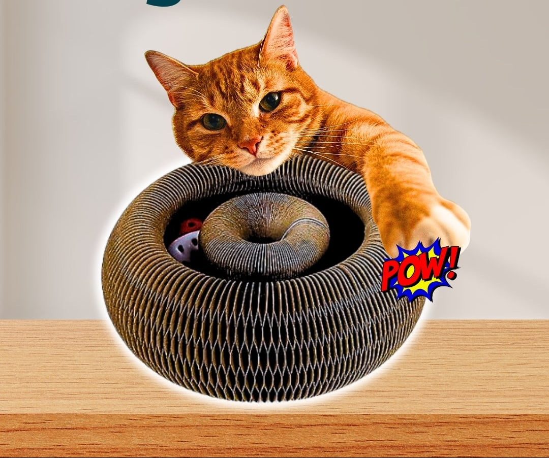 Snootkin Interactive Cat Toy & Corrugated Scratcher Board - Kitty Kurlz™