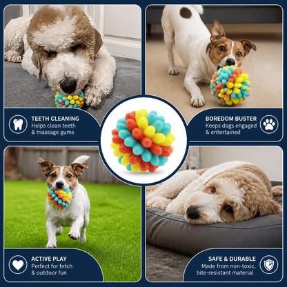 Colourful Bumpy Dog Chew Ball