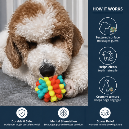 Colourful Bumpy Dog Chew Ball