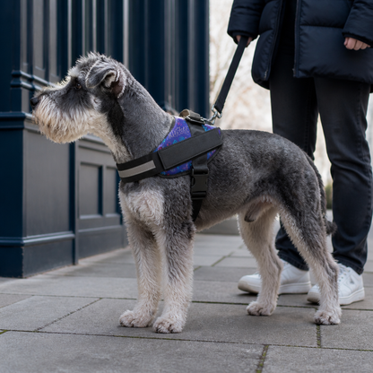 Reflective Adjustable Dog Harness with 3 Leash Clips – Padded for Walking & Training