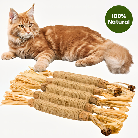 Silvervine Dental Sticks for Cats — Teeth & Play