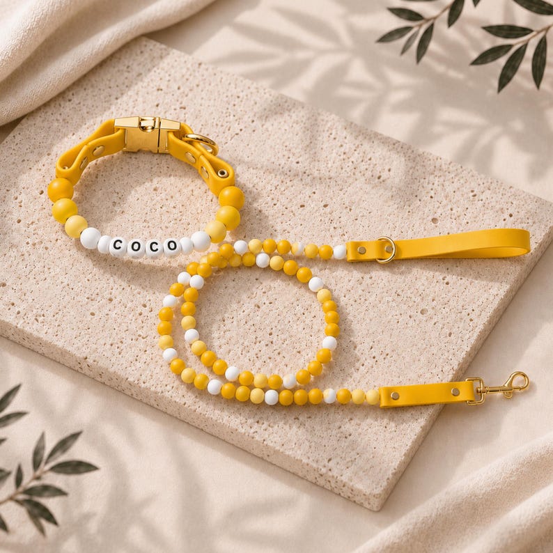 Personalized Beaded Name Collar & Leash