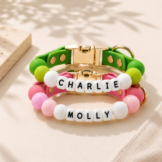 Personalized Beaded Name Collar & Leash