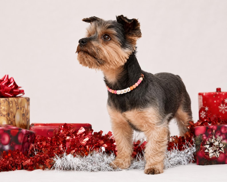 Personalized Beaded Pet Collar