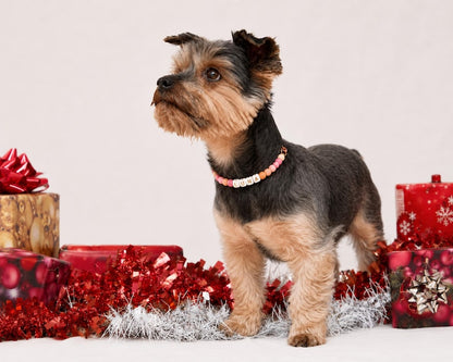 Personalized Beaded Pet Collar