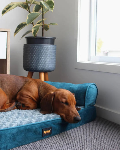 Pet Sofa Bed