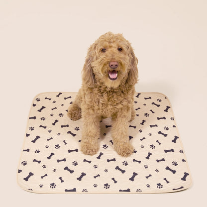 Washable Dog Pee Pads — Reusable, Leak-Proof
