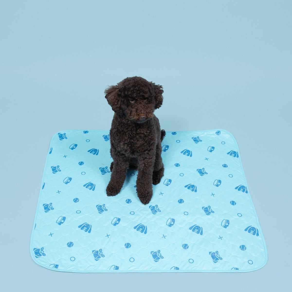 Washable Dog Pee Pads — Reusable, Leak-Proof