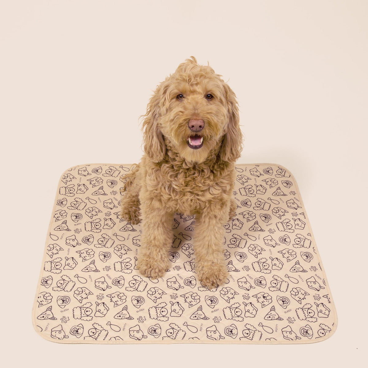 Washable Dog Pee Pads — Reusable, Leak-Proof