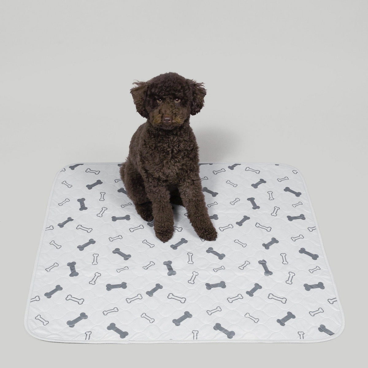 Washable Dog Pee Pads — Reusable, Leak-Proof